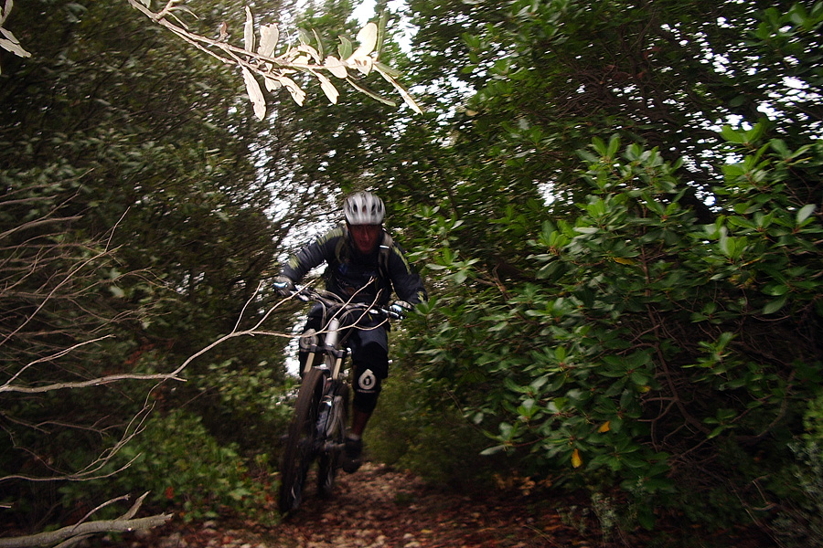 BONY ON THE RIDE AGAIN