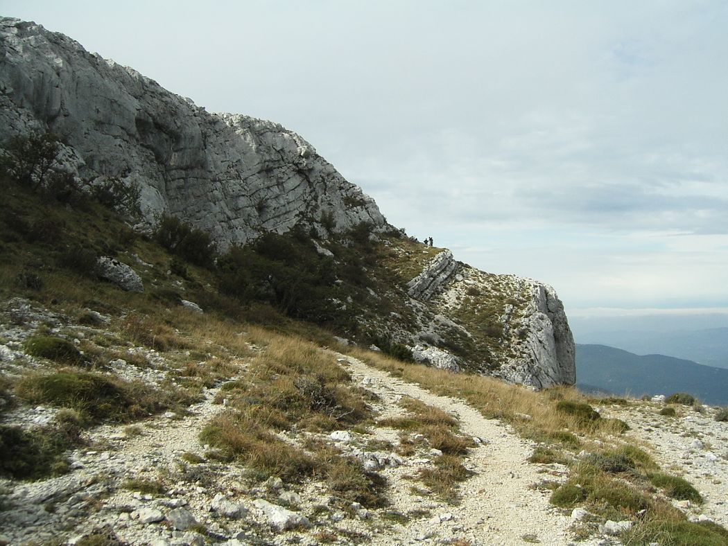 Single aérien
