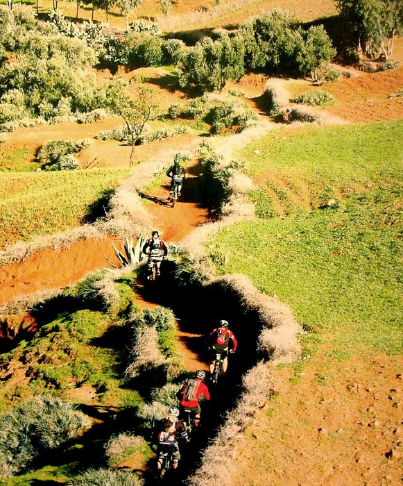 Marrakech Trophy