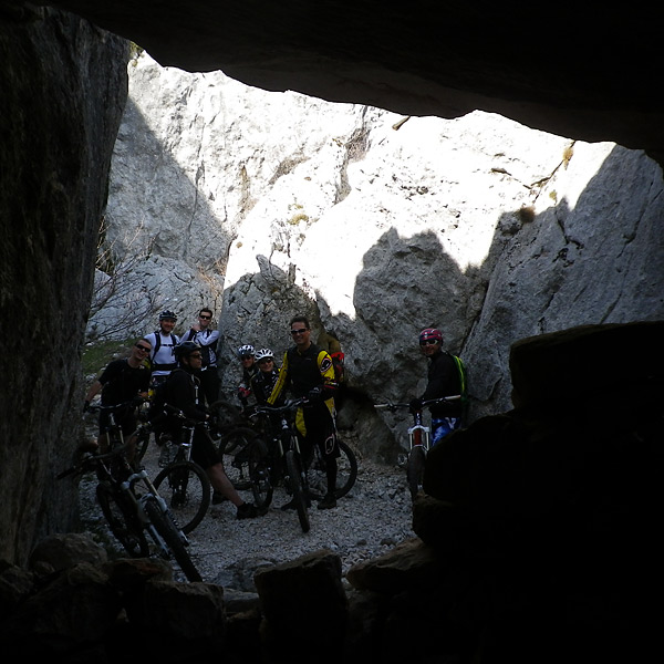 Les moutons se pressent devant la grotte