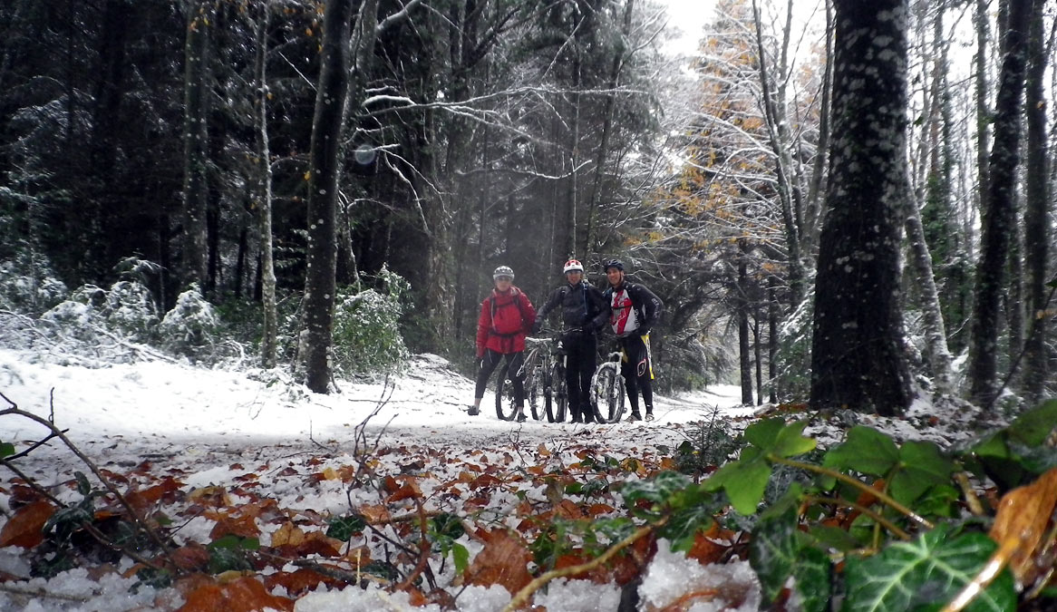 Sur un tapis hermine, à travers les bois fauves 