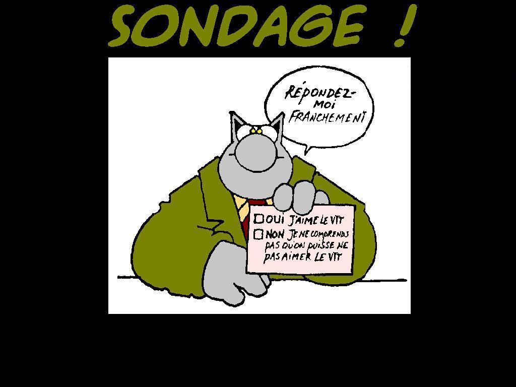 élections