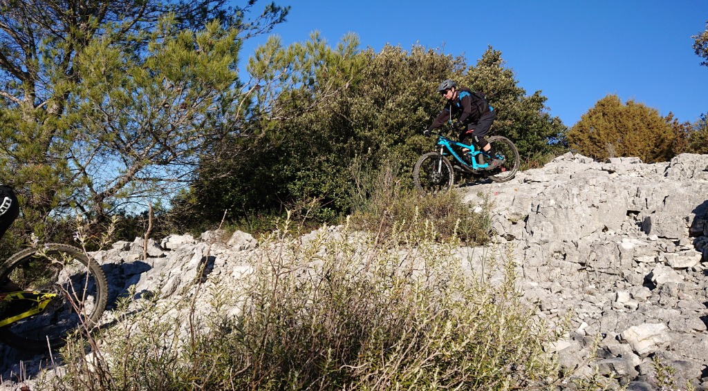 DSC_0012.jpg